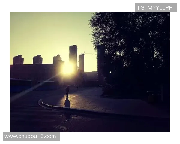 当璀璨的绿茵巨星逐渐暗淡足球星坠落背后的沉浮与无奈